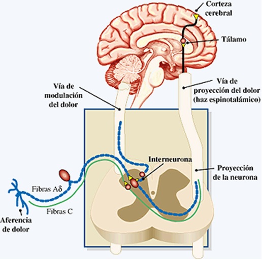 neuropatías